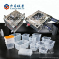 Factory customized plastic container storage product molding